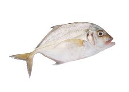 Para