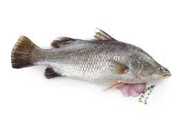 Seabas